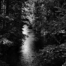 Tranquility